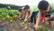 農場勞動開啟&ldquo;開學第一課&rdquo;