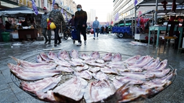 探訪中國東極魚市