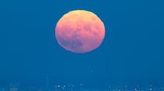 国际&middot;一周看天下