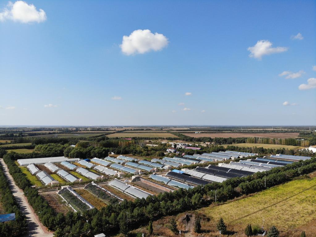 兴十四村：现代农业推动产业振兴