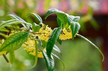 新华全媒+丨微视界&mdash;&mdash;秋分