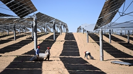 立體光伏治沙産業化項目繪就騰格裏沙漠“生態綠”