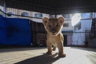 国际&middot;一周看天下