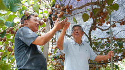 &ldquo;把成绩写在大地上&rdquo;