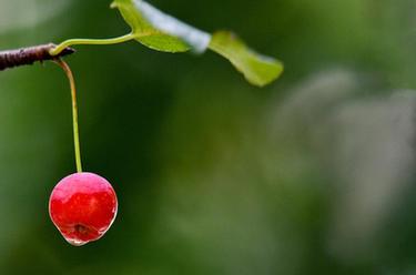 微视界&mdash;&mdash;寒露