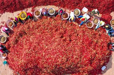 镜观中国&middot;新华社国内新闻照片一周精选