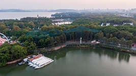 将湿地融入生活——武汉东湖化身“城市绿心”
