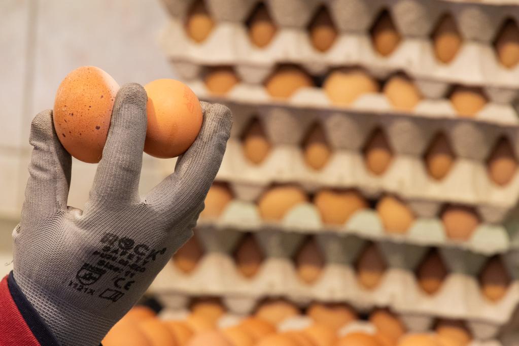 匈牙利將雞蛋和馬鈴薯列入限價食品清單
