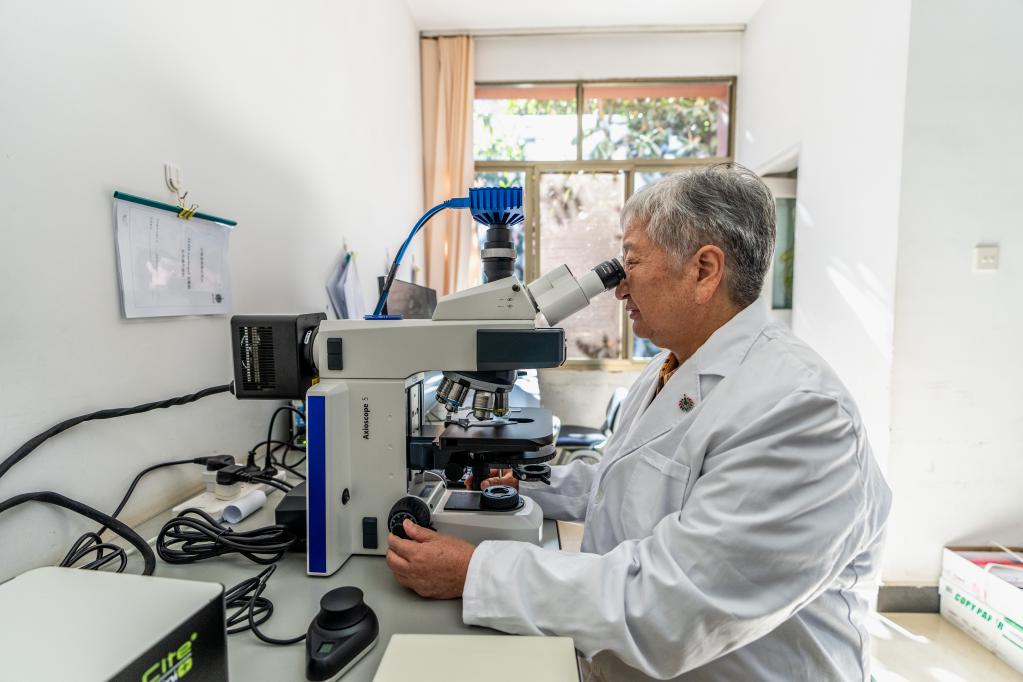 新时代新征程新伟业&middot;二十大代表在基层丨朱兆云：以科技创新推动民族药高质量发展