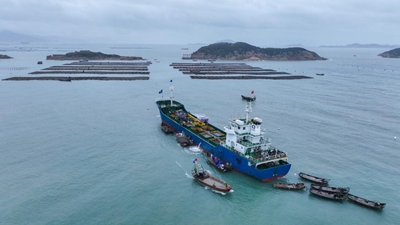 &ldquo;南北转场&rdquo;助力鲍鱼养殖提升效益