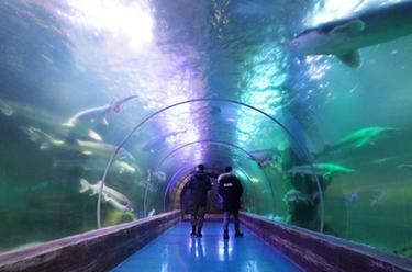 新春走基层丨探访&ldquo;华夏东极&rdquo;鱼博馆