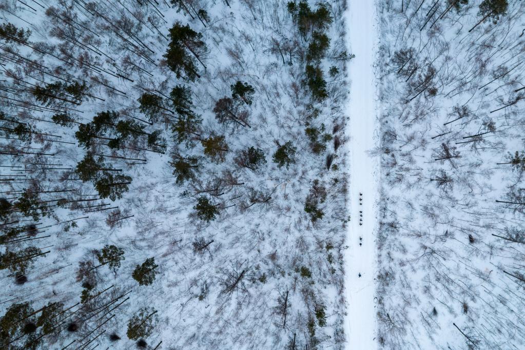 新华全媒+丨&ldquo;失联&rdquo;一个多月，他们在林海守护生态屏障