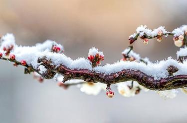 新华全媒+丨微视界&mdash;&mdash;大寒