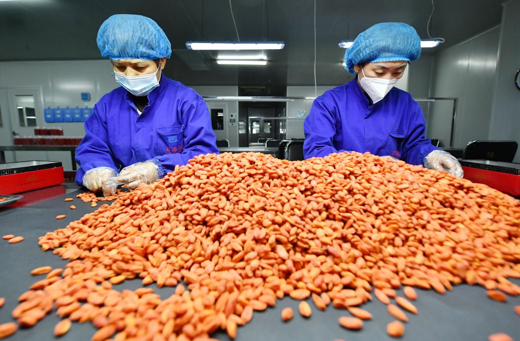 宁夏：枸杞产业迎来&ldquo;开门红&rdquo;