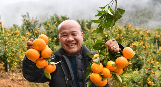 高山果园兴乡村
