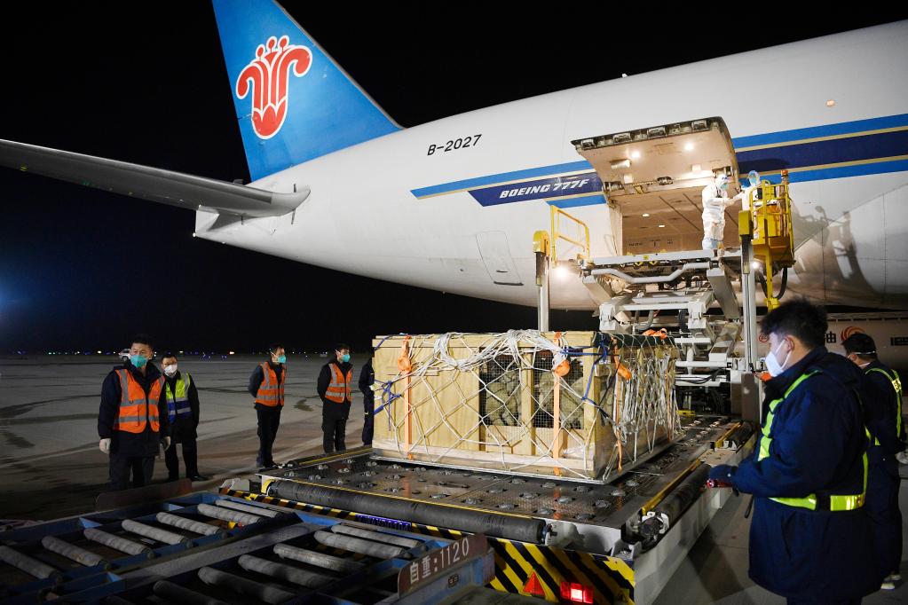 新华全媒+丨新西兰&ldquo;羊包机&rdquo;助力拓展宁夏开放&ldquo;朋友圈&rdquo;