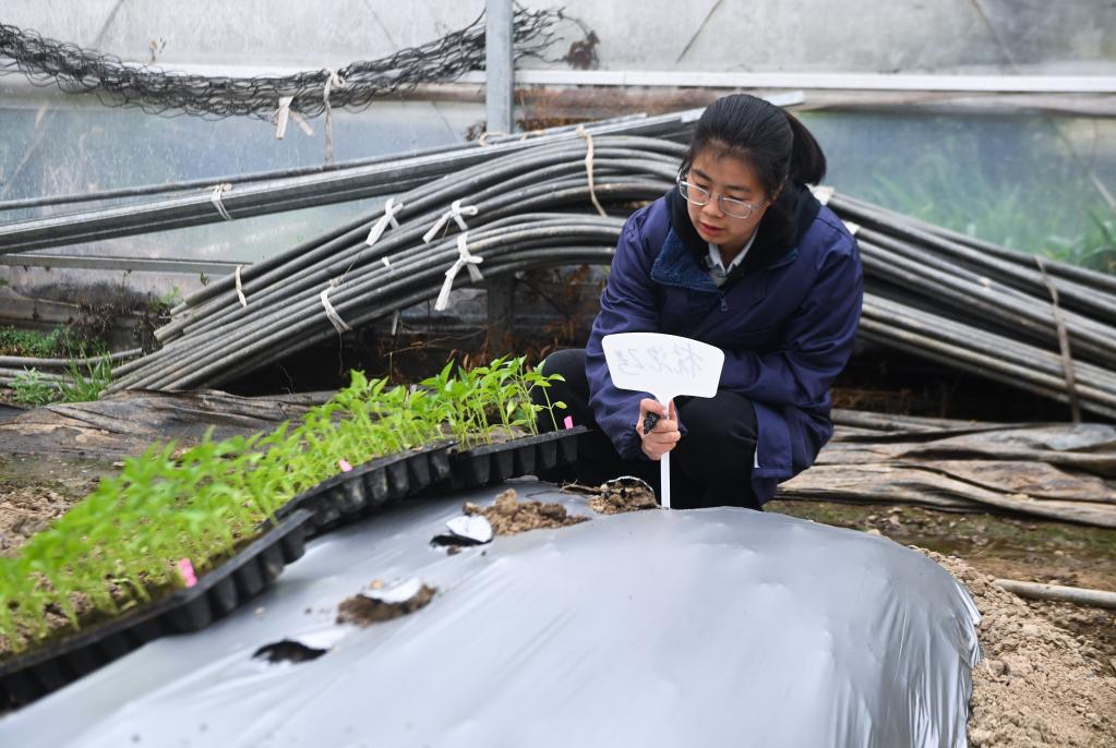 杭州临安：&ldquo;新农人&rdquo;助推乡村新产业新业态发展