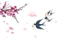 新华全媒+丨带你看全国赏花打卡地