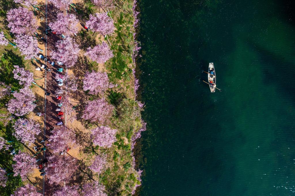 新华全媒+｜浙江水环境治理成效显著 美丽河湖扮靓&ldquo;诗画江南&rdquo;