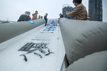 中华鲟保护日 湖北宜昌举行中华鲟放流活动