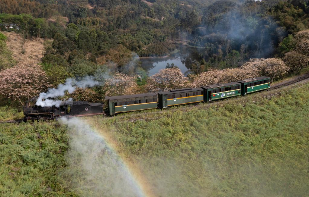 四川犍为：桐子花开