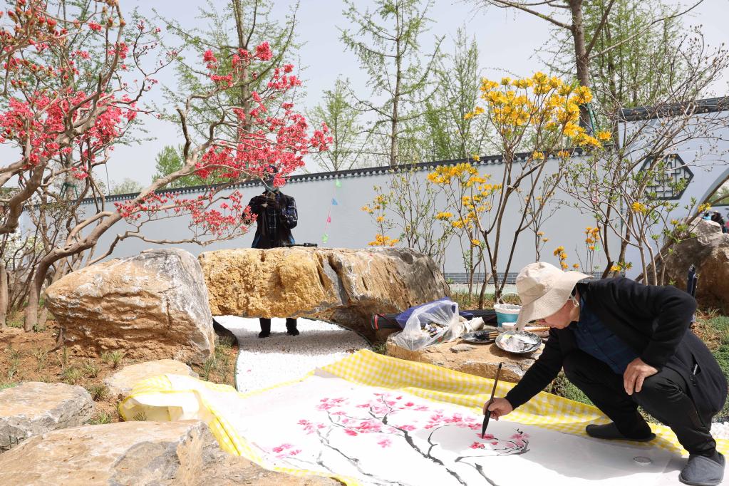 中国&middot;淮安精品盆景展拉开帷幕