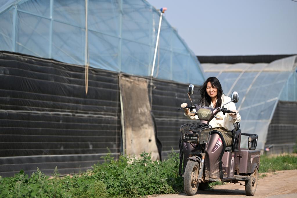 种蓝莓的&ldquo;新农人&rdquo;