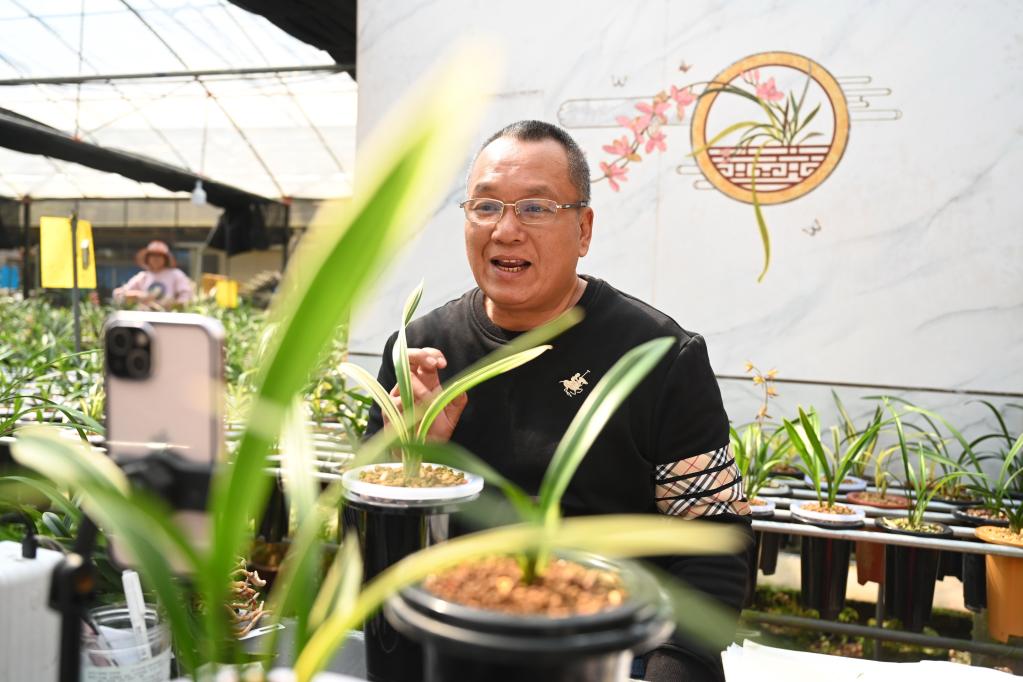 根植&ldquo;沃土&rdquo; 创新&ldquo;触网&rdquo;&mdash;&mdash;在闽台农用兰花铺就乡村致富路