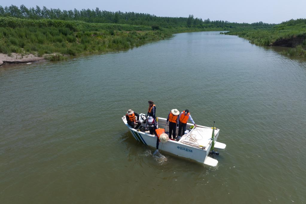 与&ldquo;水下哨兵&rdquo;的奇妙相遇