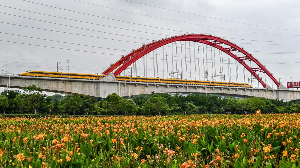 &ldquo;黄医生&rdquo;逐级提速试验贵南高铁