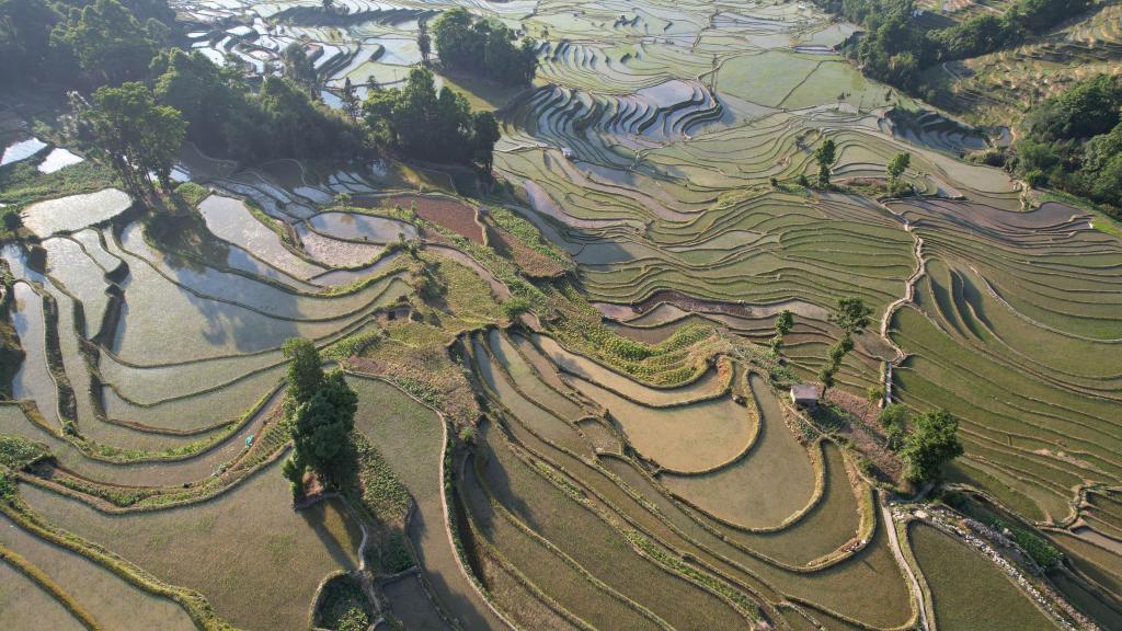 云上梯田灌溉记&mdash;&mdash;探寻世界文化遗产哈尼梯田&ldquo;水密码&rdquo;