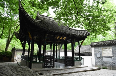 当博物馆的&ldquo;风景&rdquo;照进现实