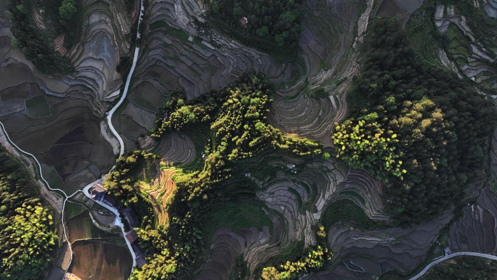 美丽中国丨&ldquo;瞰&rdquo;梯田：水影天光紫鹊界