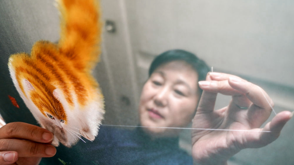 双面“绣”姑苏——人文经济视野下的苏州观察