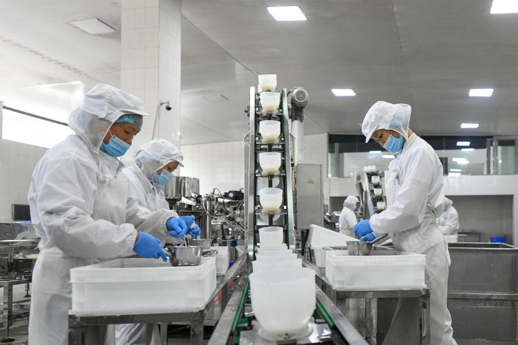 四川沐川:魔芋产业助振兴