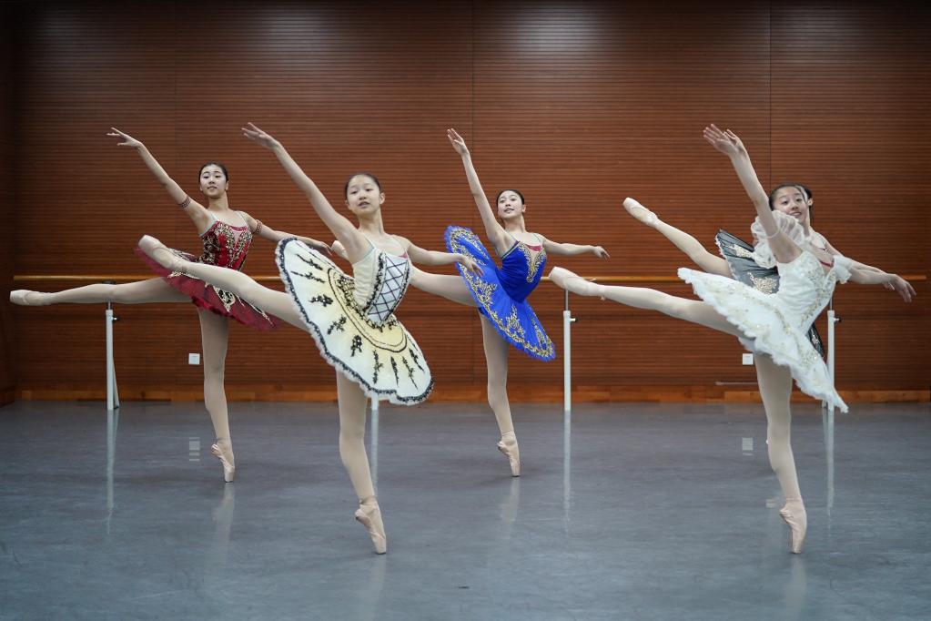 &ldquo;小天鹅&rdquo;从这里起舞翱翔