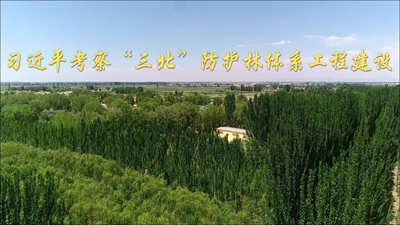 习近平考察“三北”防护林体系工程建设