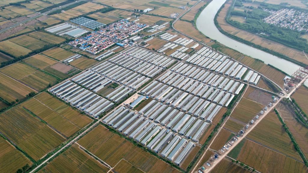 &ldquo;采摘游&rdquo;助推乡村特色产业发展