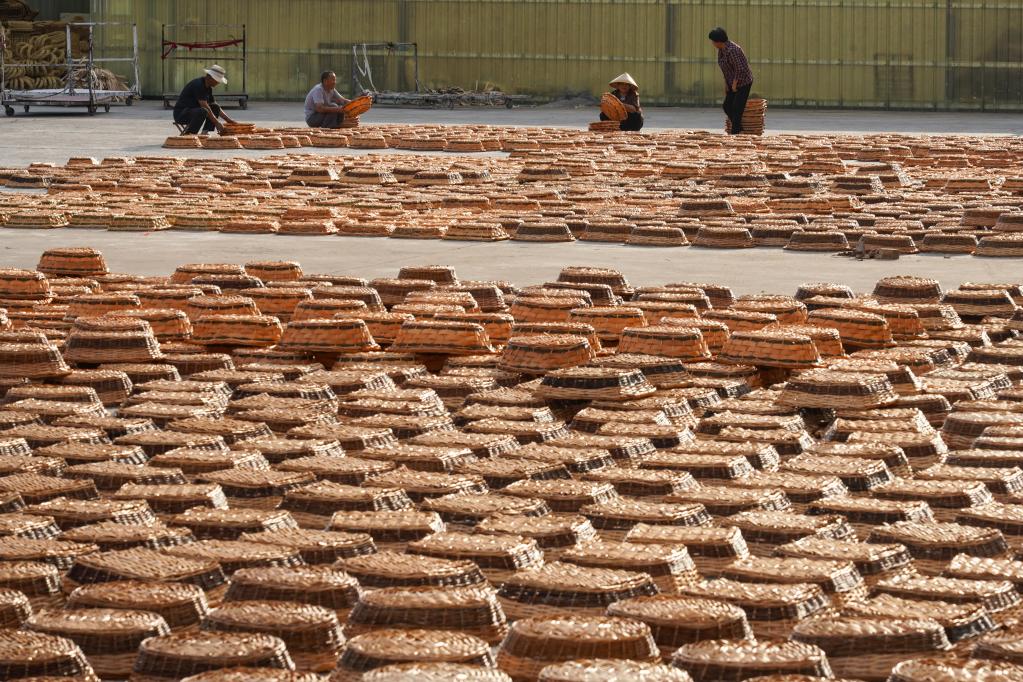 山东临沭：小柳编编织富民大产业