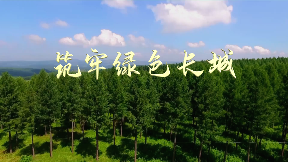 微视频丨筑牢绿色长城