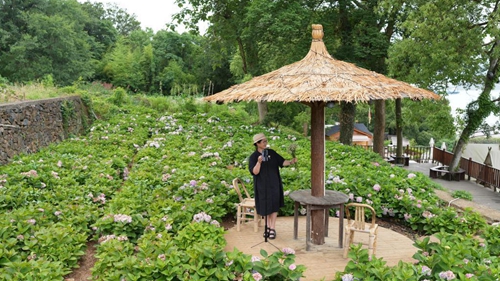 浙江宁海:美丽半岛小镇盛开“美丽经济”