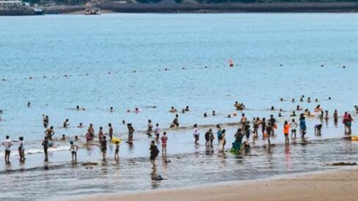 浙江舟山:海岛乡村逐浪振兴蓝海