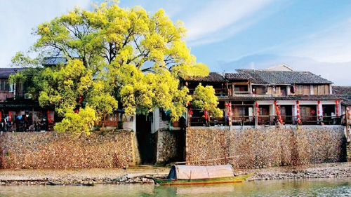 浙江丽水:美丽乡村入画来