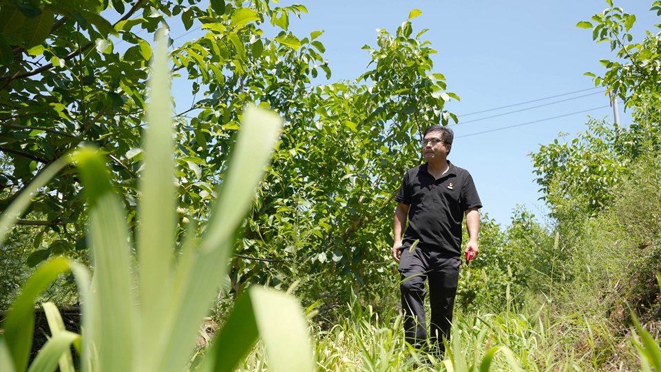 贾志华：扎根太行 科技惠农助振兴