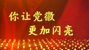 你让党徽更加闪亮