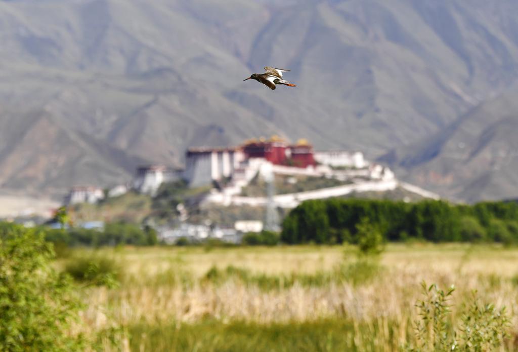 镜观中国&middot;新华社国内新闻照片一周精选