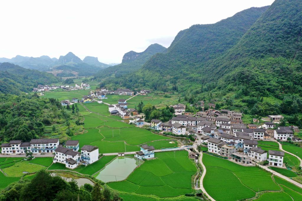 贵州荔波：艺术从业者&ldquo;进村&rdquo;