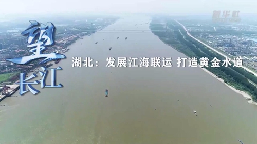 望长江丨湖北：发展江海联运 打造黄金水道