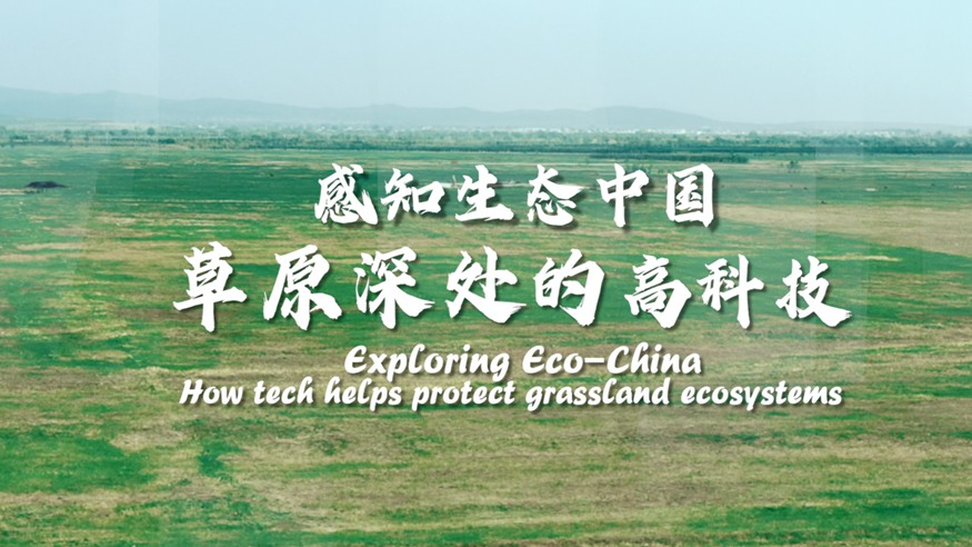 感知生态中国丨草原深处的高科技