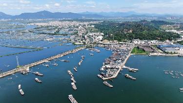 广东饶平：水产养殖谱写现代&ldquo;海洋牧歌&rdquo;